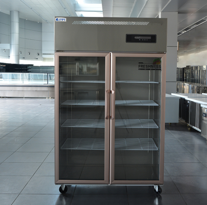 Multiclimatische koelkast van roestvrij staal voor keuken