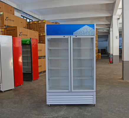 Gepersonaliseerd logo Acceptabel 2 deuren winkel Dranken Drankkoeler voor koude dranken