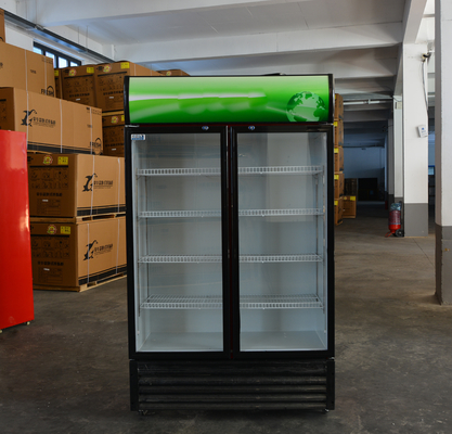 Gepersonaliseerd logo Acceptabel 2 deuren winkel Dranken Drankkoeler voor koude dranken