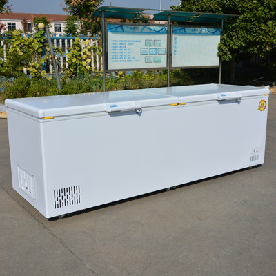 Klantland Standaard Plug Grote capaciteit Horizontale dubbele deur koelkast