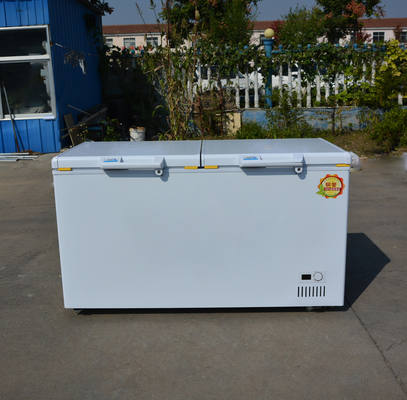 Klantland Standaard Plug Grote capaciteit Horizontale dubbele deur koelkast
