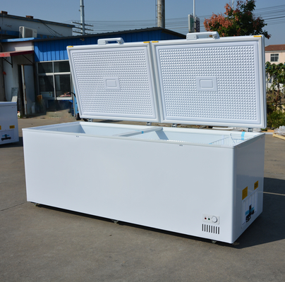 Klantland Standaard Plug Grote capaciteit Horizontale dubbele deur koelkast