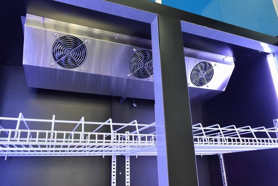 Gewicht KG 95-160kg Glas wijn display koeler met dubbele deuren en luchtkoeling