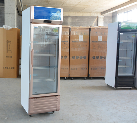 Verticale glazen deur drankkoeler koelkast met digitale thermostaat