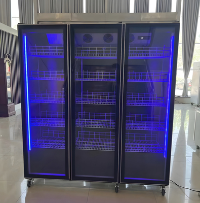 Ventilator koelsysteem Commercieel schermkoeler met LED-verlichting en anti-mist glazen deur