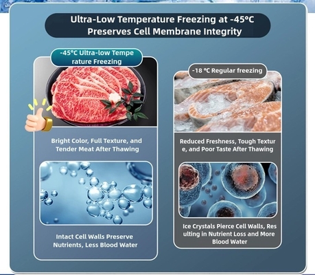 8.5-10cm Foam laag Ultra-Low Chest Freezer voor grote capaciteit -60°C Seafood opslag